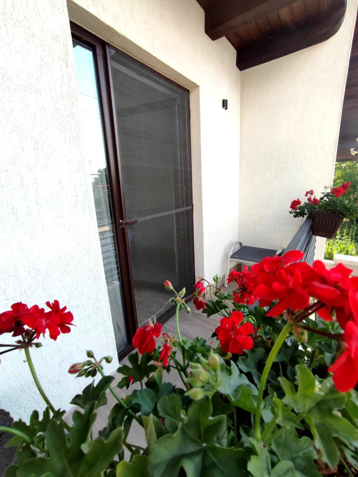 Regal Guest House Sighetu Marmaţiei Exterior foto